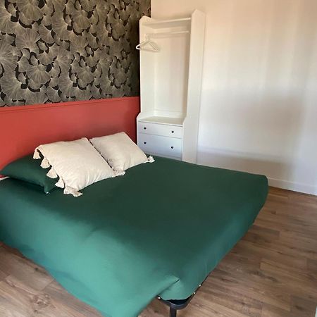 Appartement Pont Montaudran Τουλούζη Εξωτερικό φωτογραφία